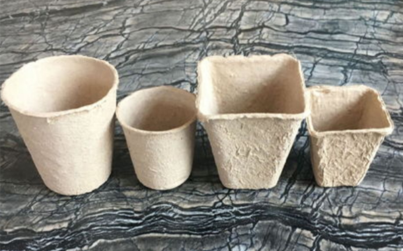 环保的育苗杯托用到纸浆模塑