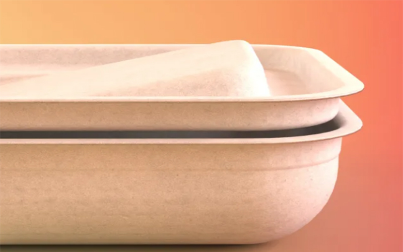 甘蔗渣是否能做成纸托包装