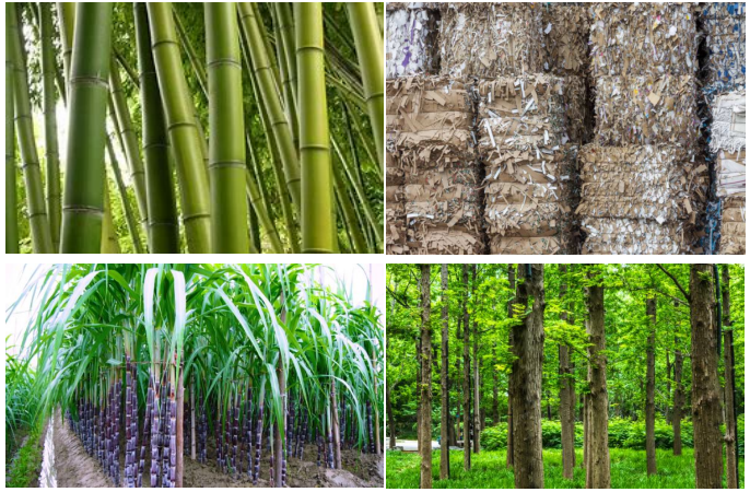 植物纤维模塑对环境有哪些好处